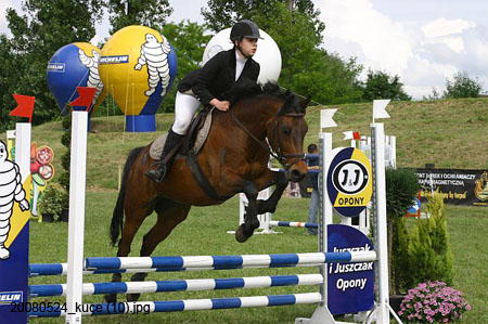 20080524_kuce (10)
